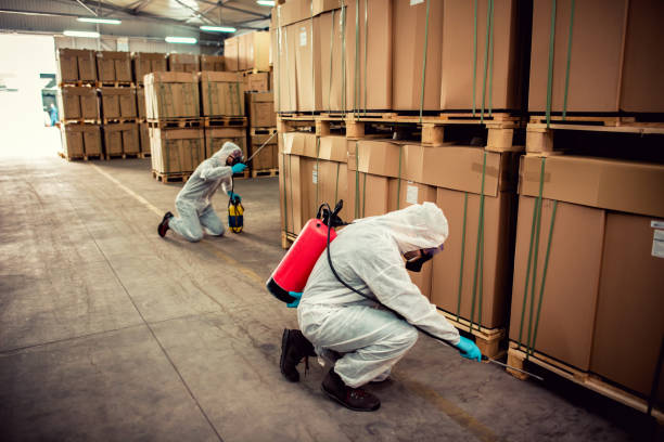 Best Affordable Pest Control Services  in Northampton, PA