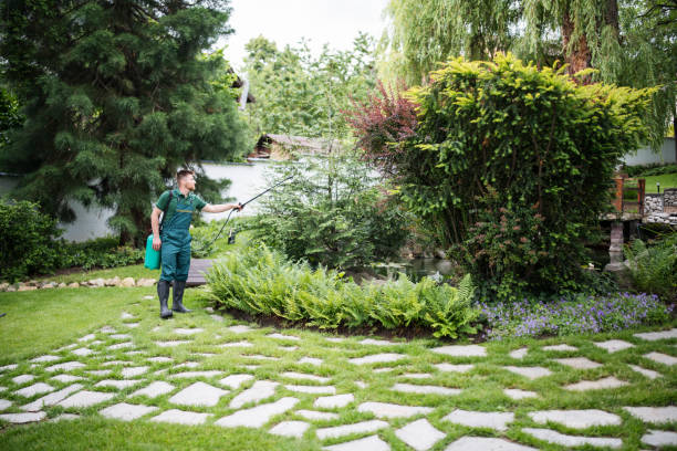 Best Ant Control Services  in Northampton, PA
