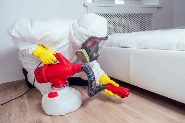 Professional Pest Control in Northampton, PA