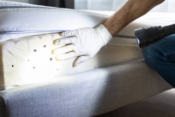 Best Residential Pest Control  in Northampton, PA